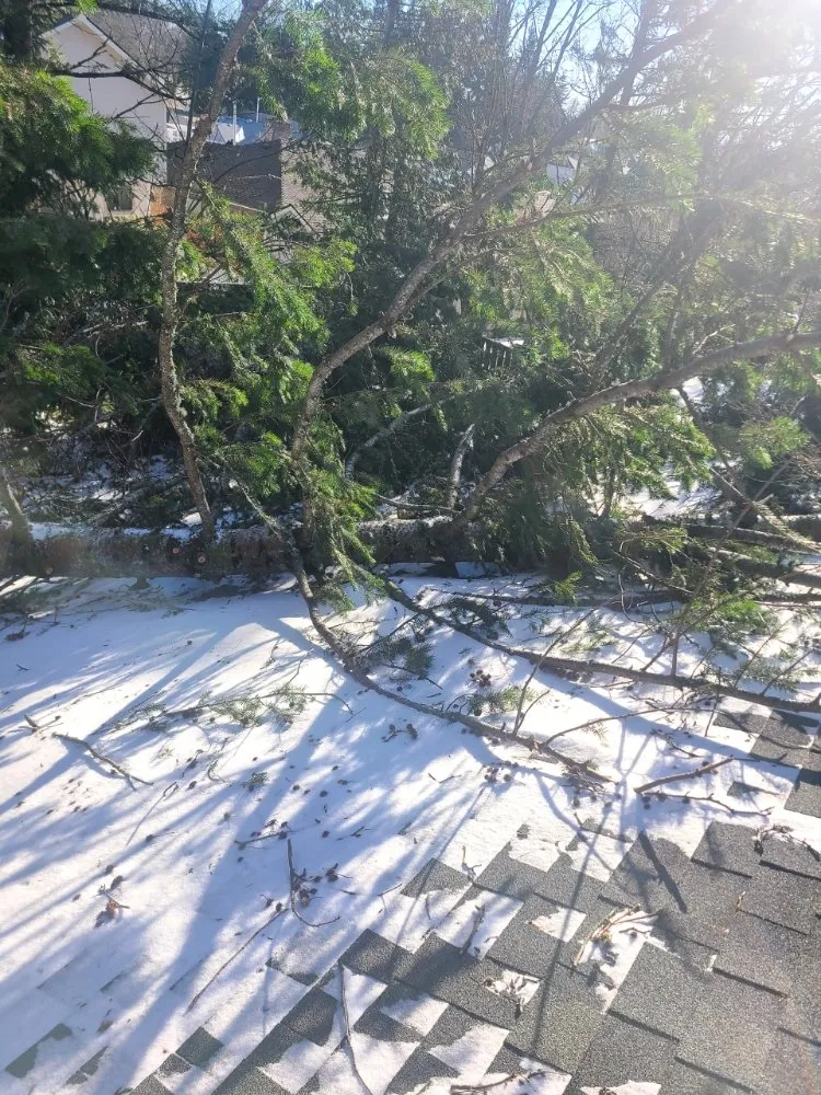 Slide of Just Repair It