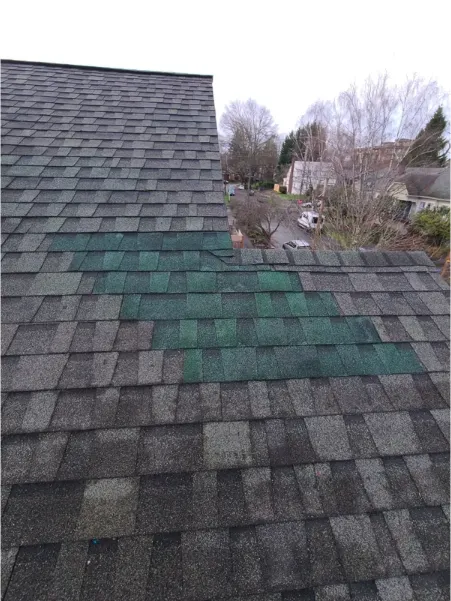 Slide of Just Repair It