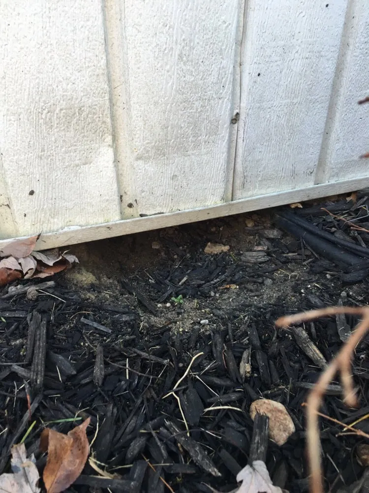 Slide of Just Rite Service Professionals