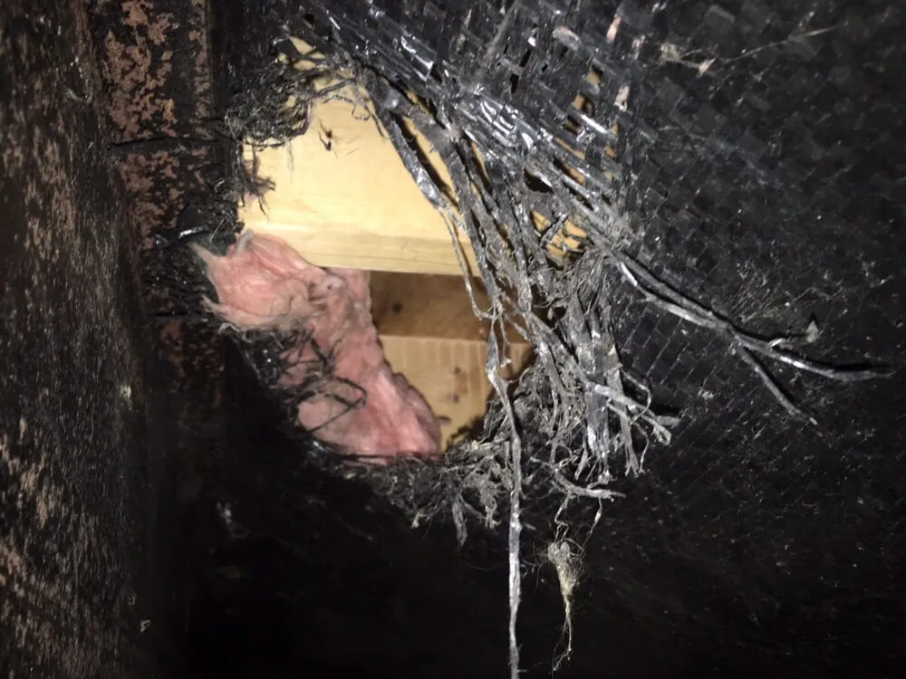 Slide of Just Rite Service Professionals