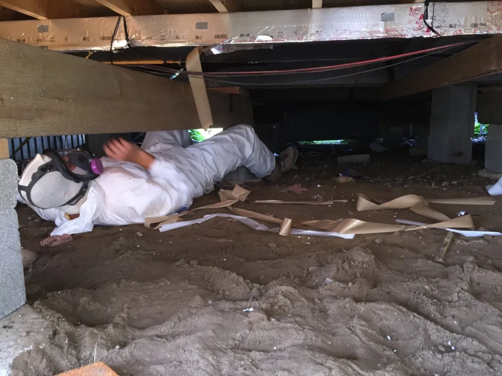 Slide of Just Rite Service Professionals