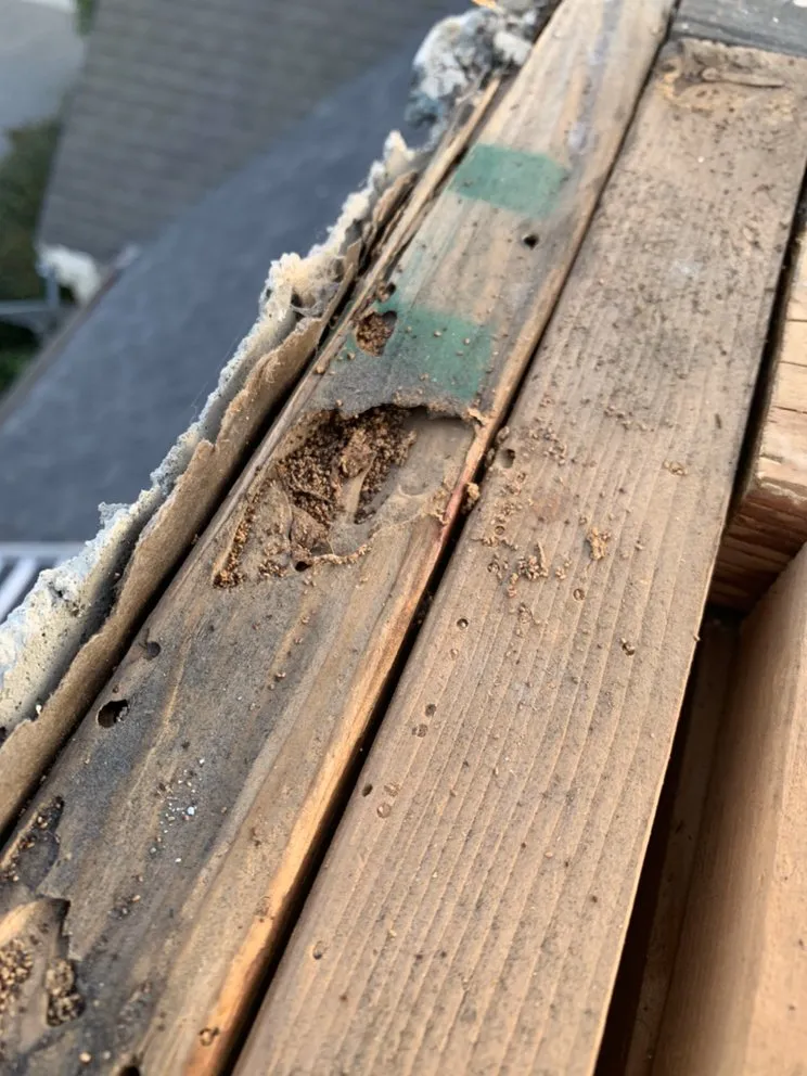 Slide of Juvens Roofing