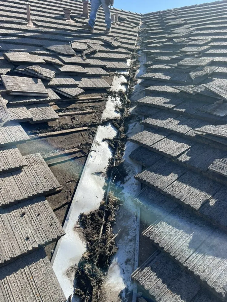 Slide of JVR Waterproofing, pigeon Removal and Gutter Cleaning