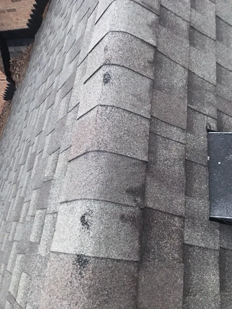 Slide of JW Services