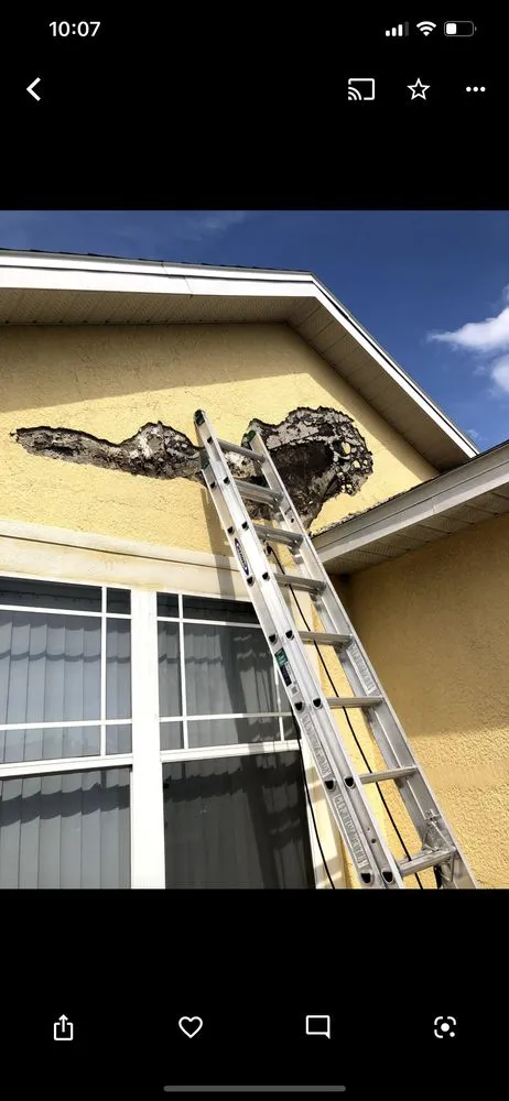 Slide of JYR Painting Service