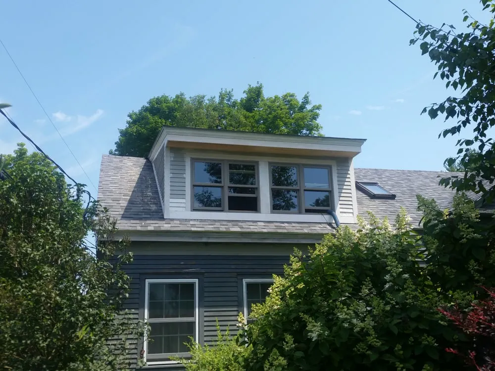 Slide of Jz Carpentry