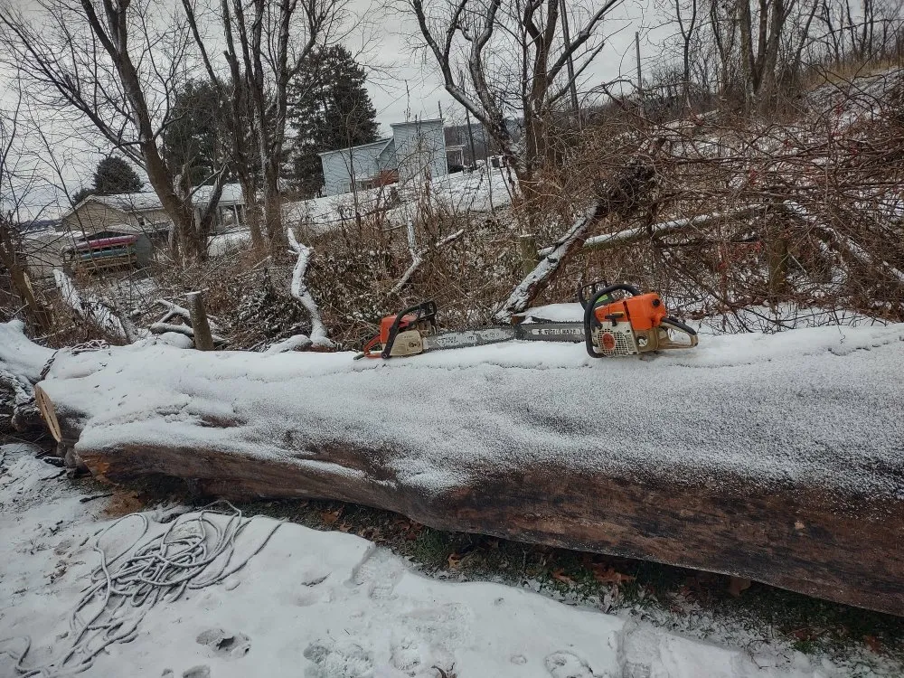 Slide of K & D Handyman And Tree Service