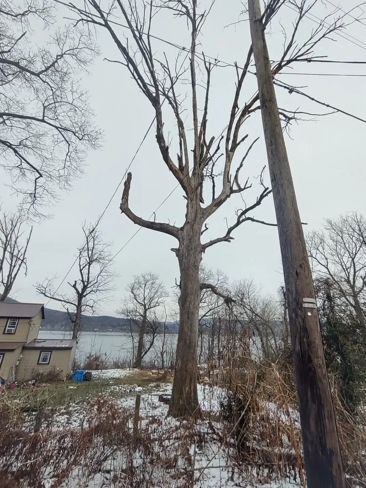 Slide of K & D Handyman And Tree Service