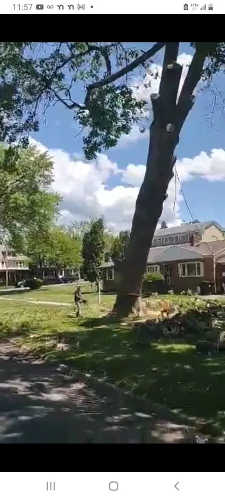 Slide of K & D Handyman And Tree Service