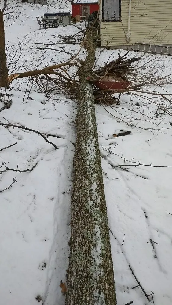 Slide of K & D Handyman And Tree Service