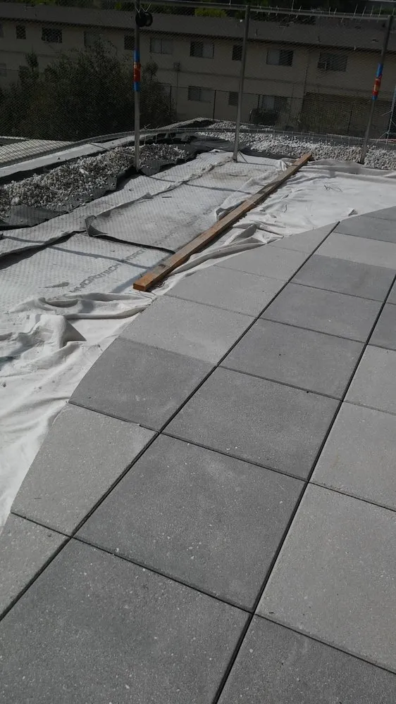 Slide of K & S Trejo