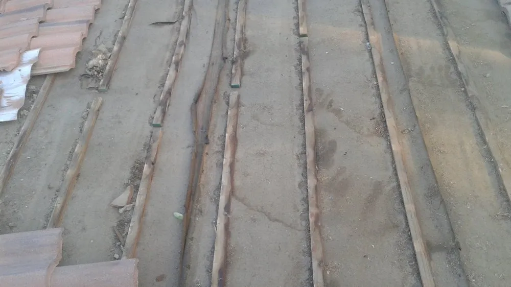 Slide of K & S Trejo