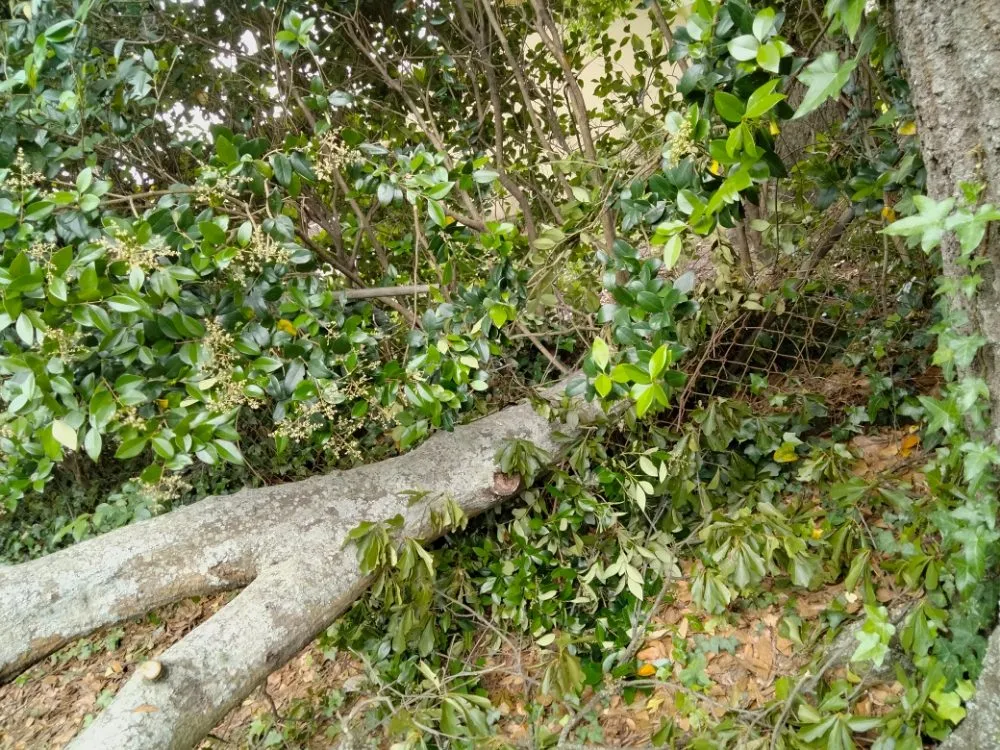 Slide of K An J Home Repair And Roofing