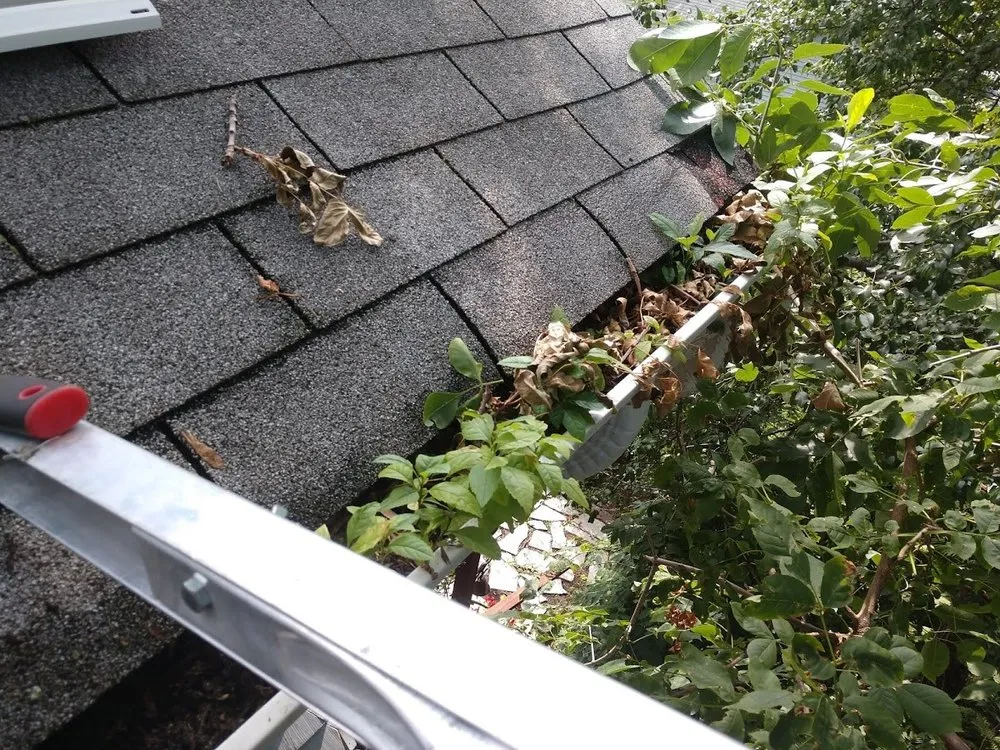 Slide of K Preisler Construction