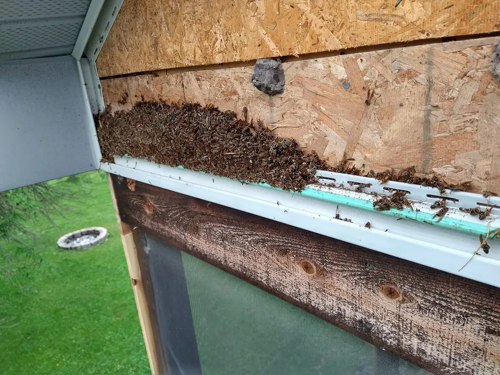 Slide of K Preisler Construction