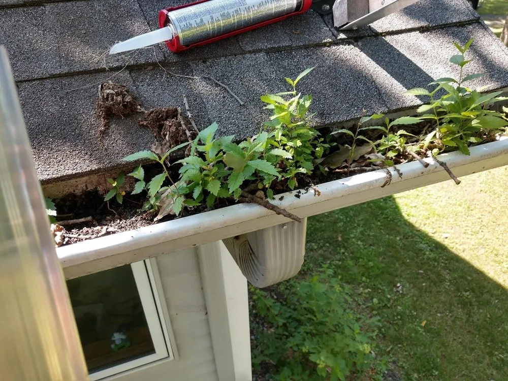 Slide of K Preisler Construction