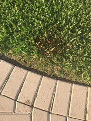 K Simon Construction Logo