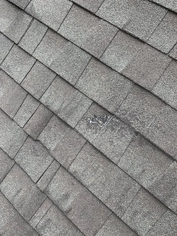 Slide of Kahlo Construction