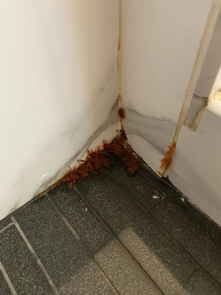 Slide of KaneCo Builders