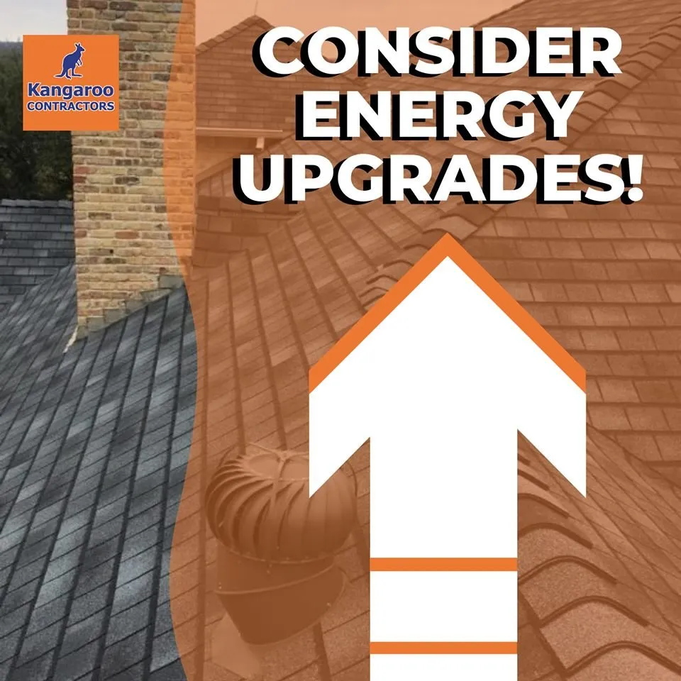 Slide of Kangaroo Contractors