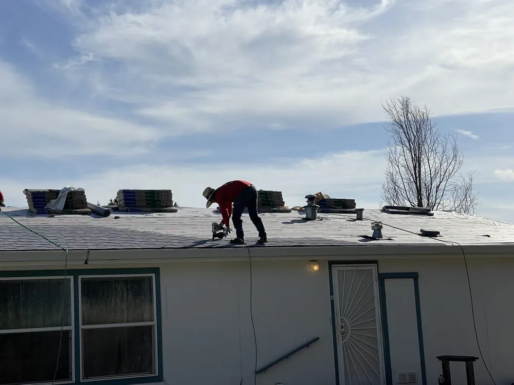 Slide of Kangaroof by UHSC