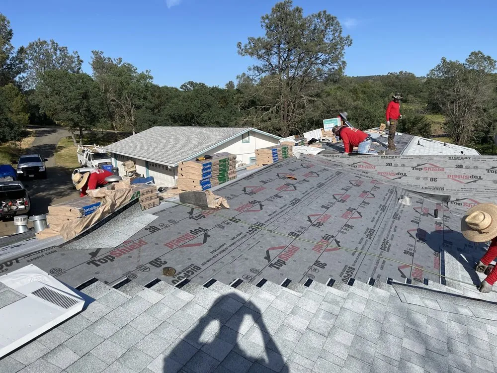 Slide of Kangaroof by UHSC