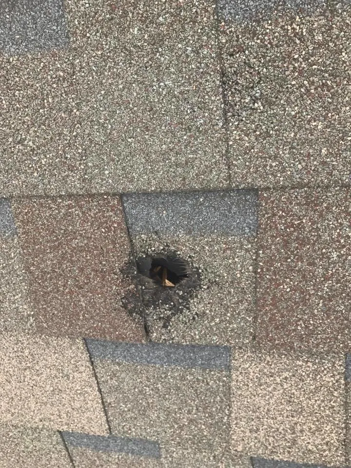 Slide of Kangaroofing Construction