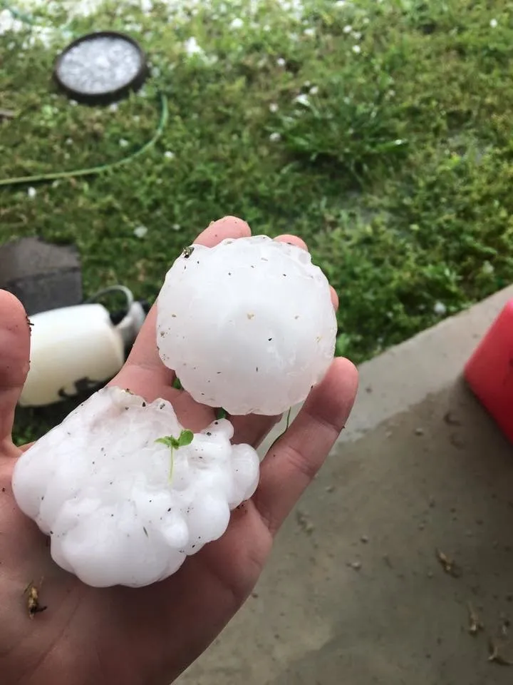 Slide of Kangaroofing Construction