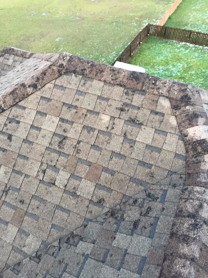 Slide of Kangaroofing Construction