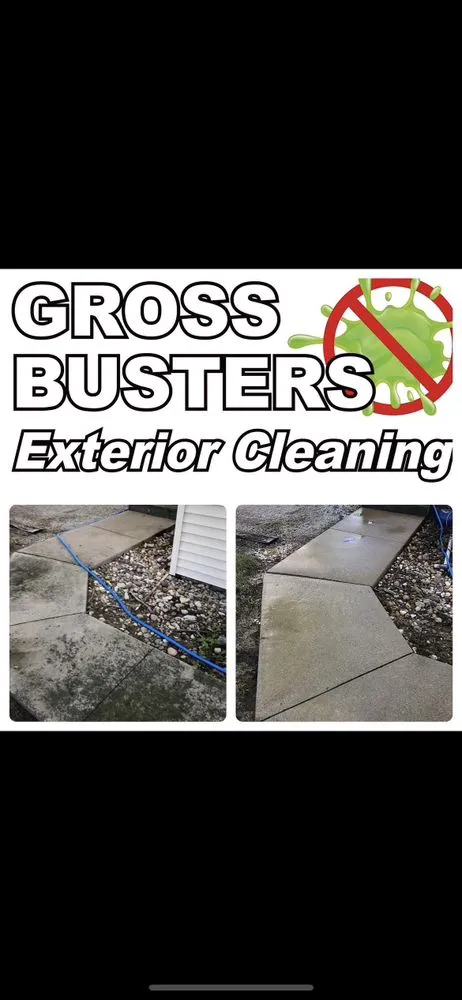 Licensed flat roof repair with free inspection in Ashkum, IL by Kankakee Gross Busters