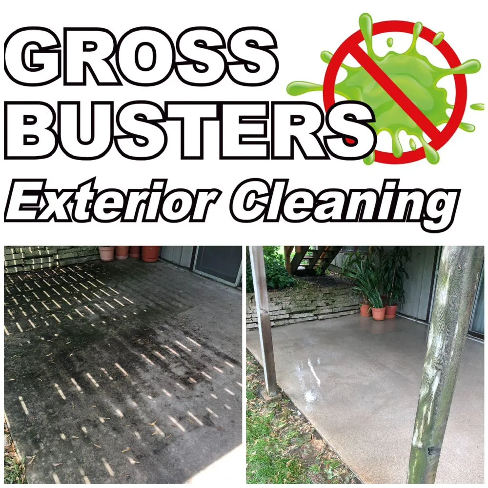 Expert roof leak repair for homes in Ashkum, IL by Kankakee Gross Busters