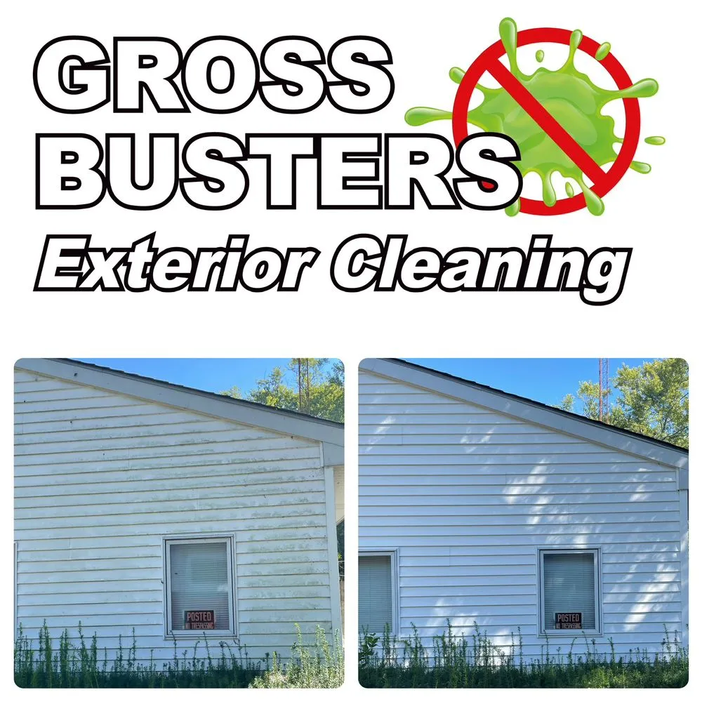 Emergency flat roof repair experts serving Ashkum, IL - Kankakee Gross Busters