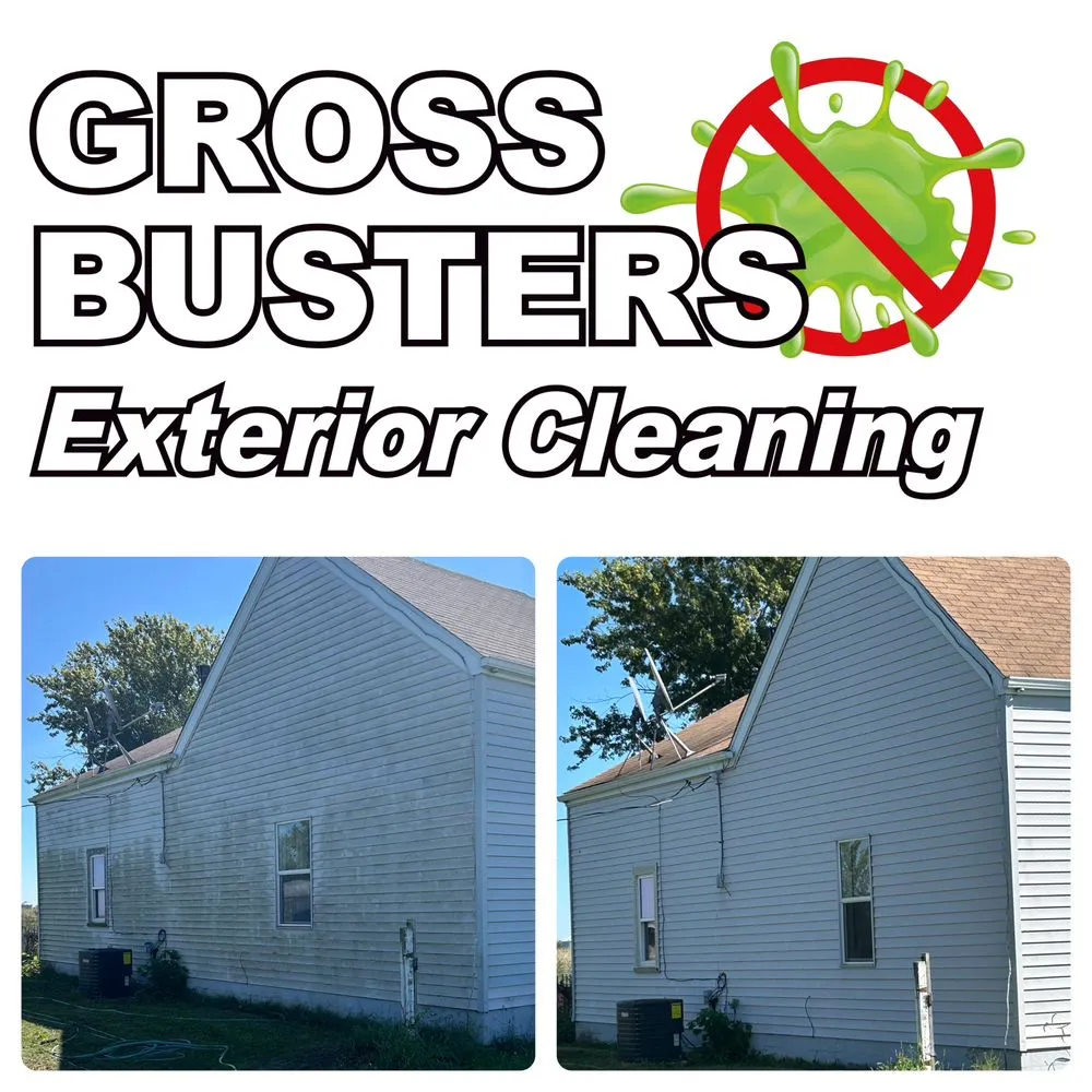 Licensed roof installation for fast service in Ashkum, IL by Kankakee Gross Busters