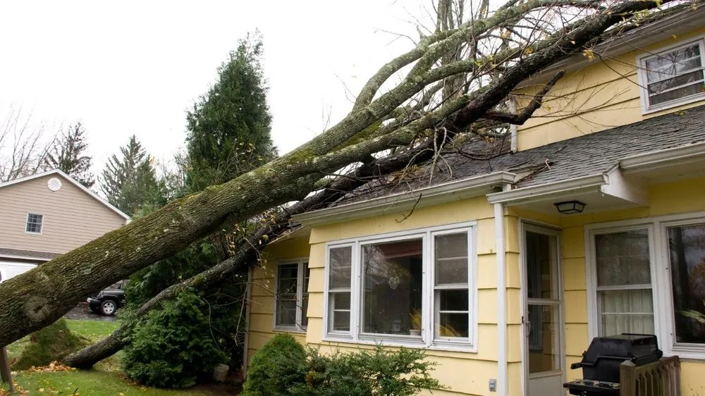 Professional roof leak repair experts serving Kapaʻa, HI - Kauai Roofing Pros