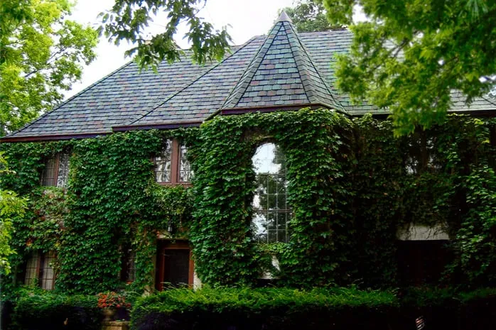 Slide of Kaufman Roofing