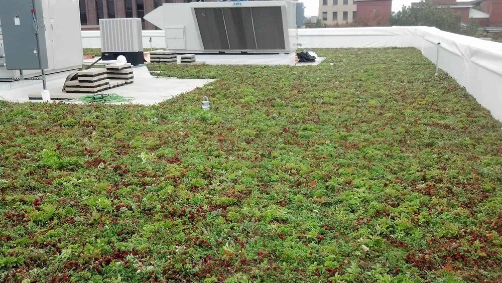 Slide of Kautz Construction