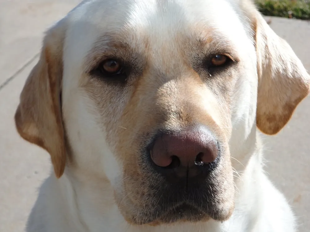 Slide of Kaw Roofing & Sheet Metal
