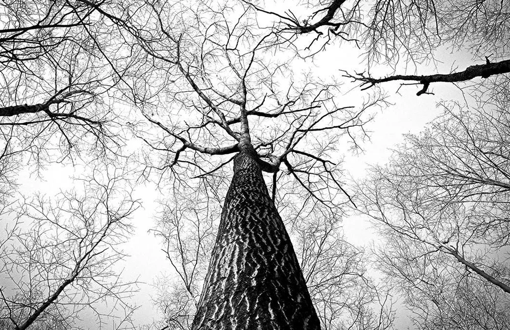 Slide of K.C. Field Services