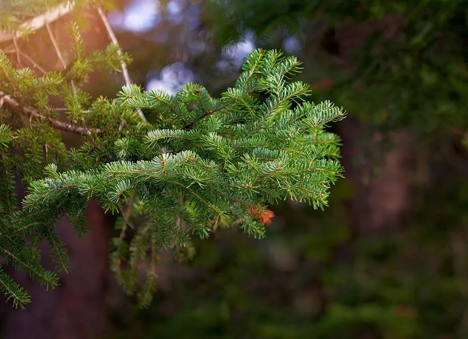 Slide of K.C. Field Services
