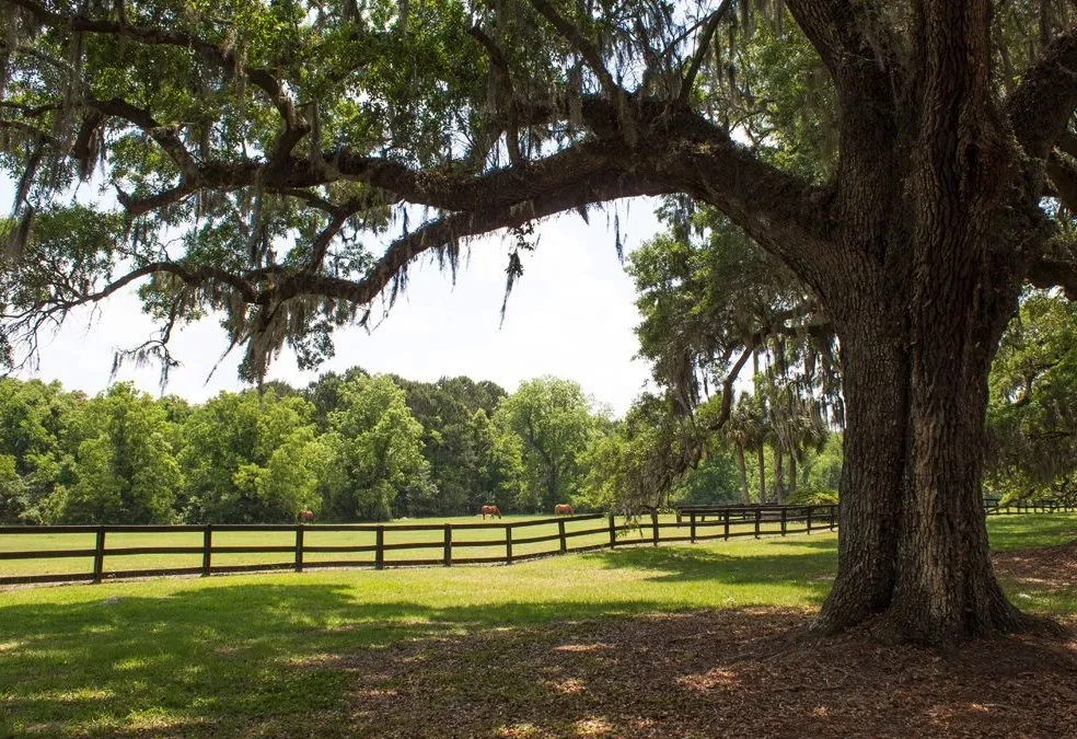 Slide of K.C. Field Services