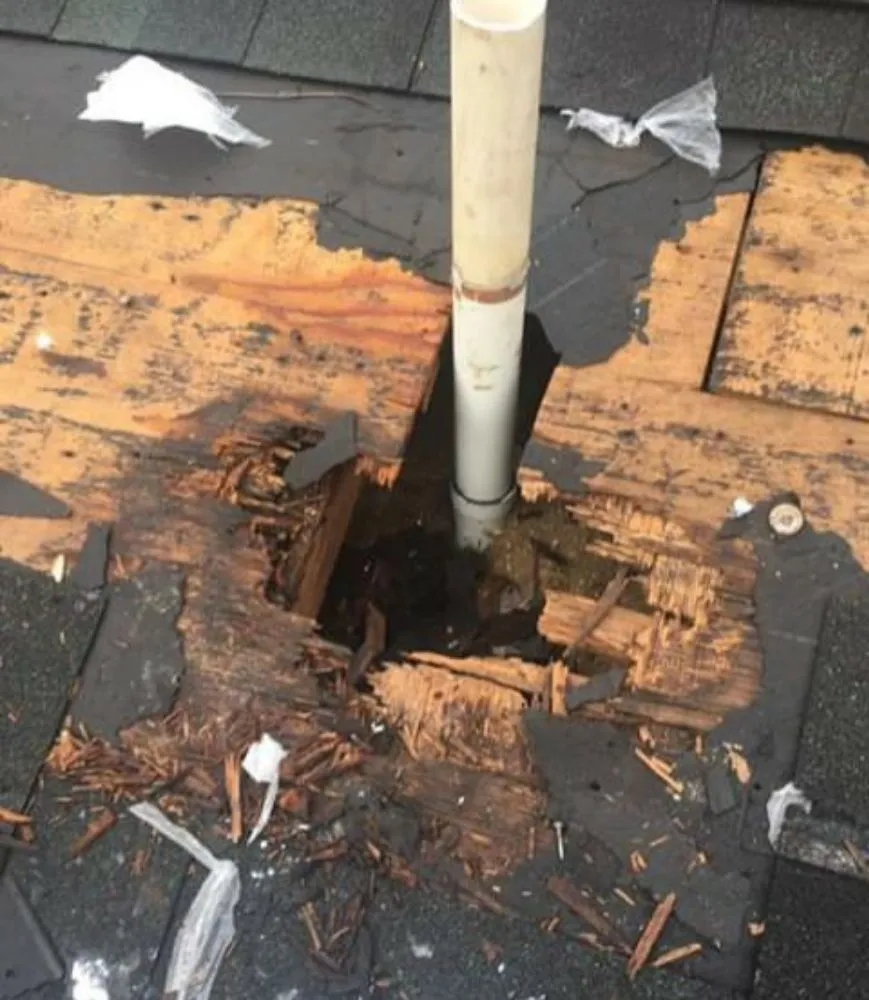 Slide of KDB Property Services