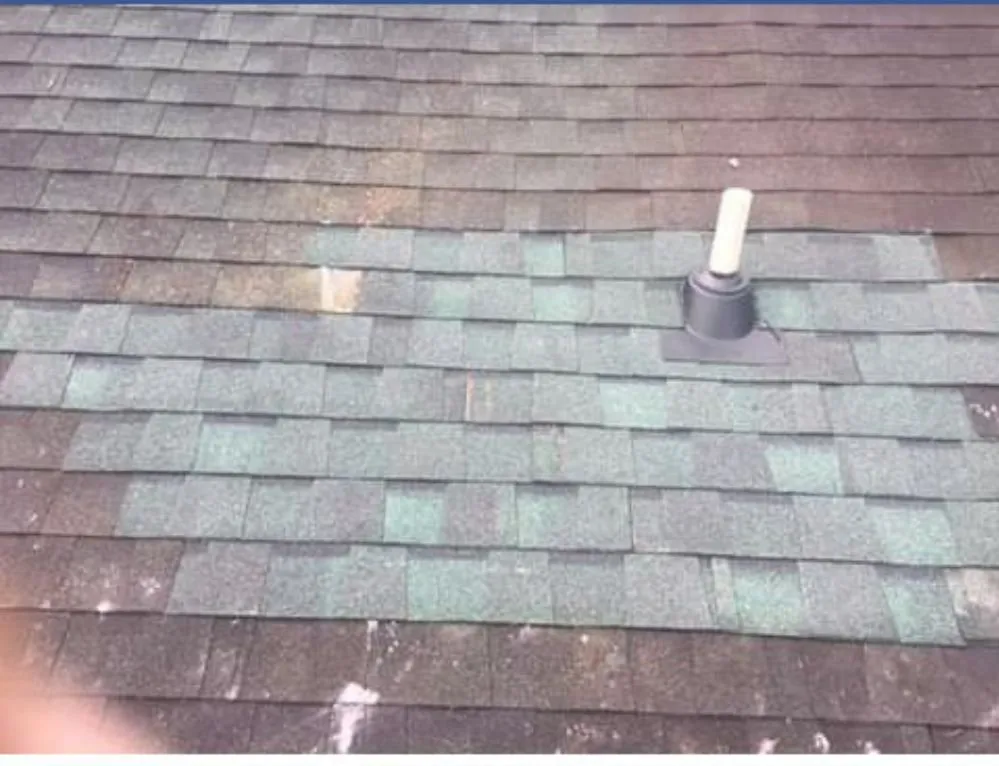 Slide of KDB Property Services