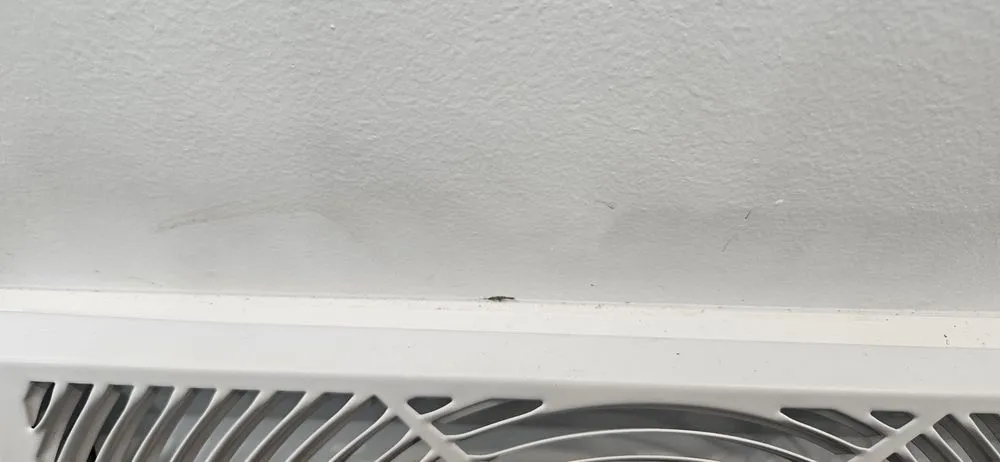 Slide of Kekoas Renovation & Construction