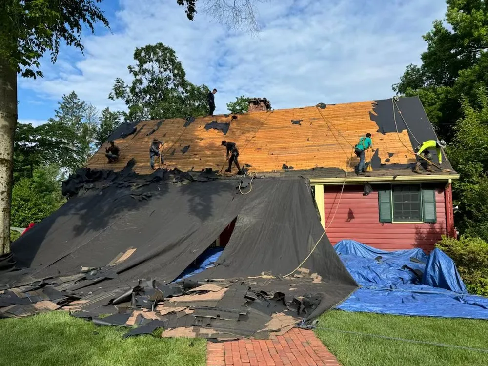 Slide of Kelly Exteriors