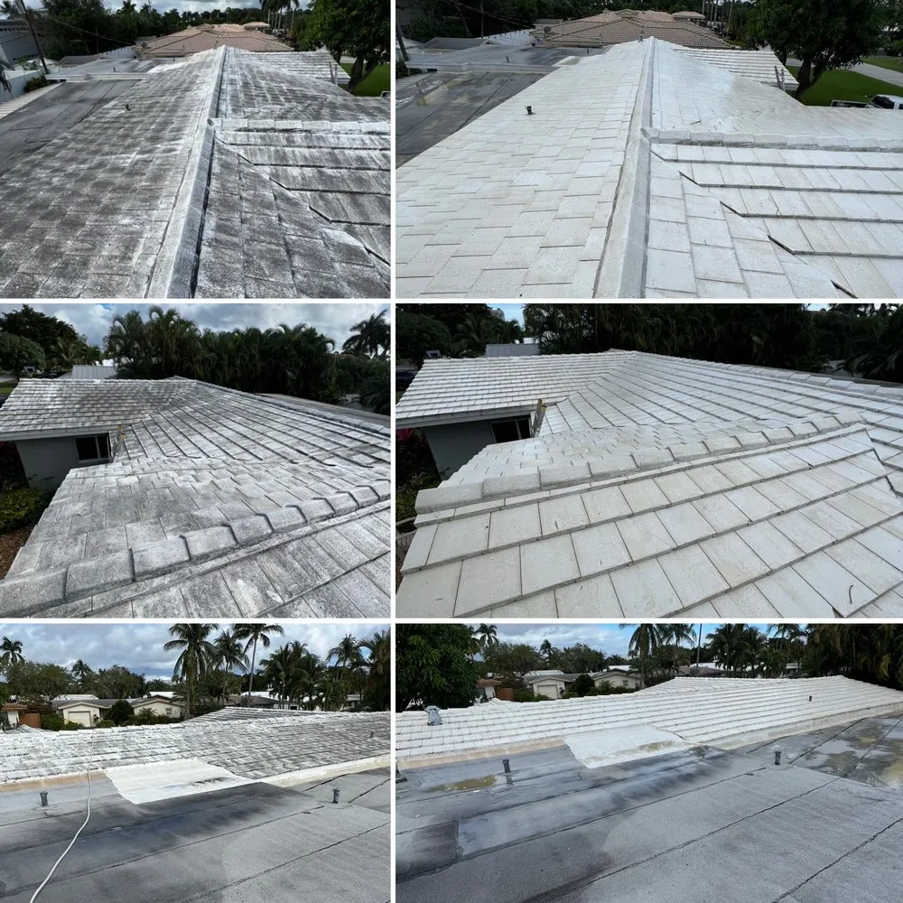 Slide of Kelly Restorations