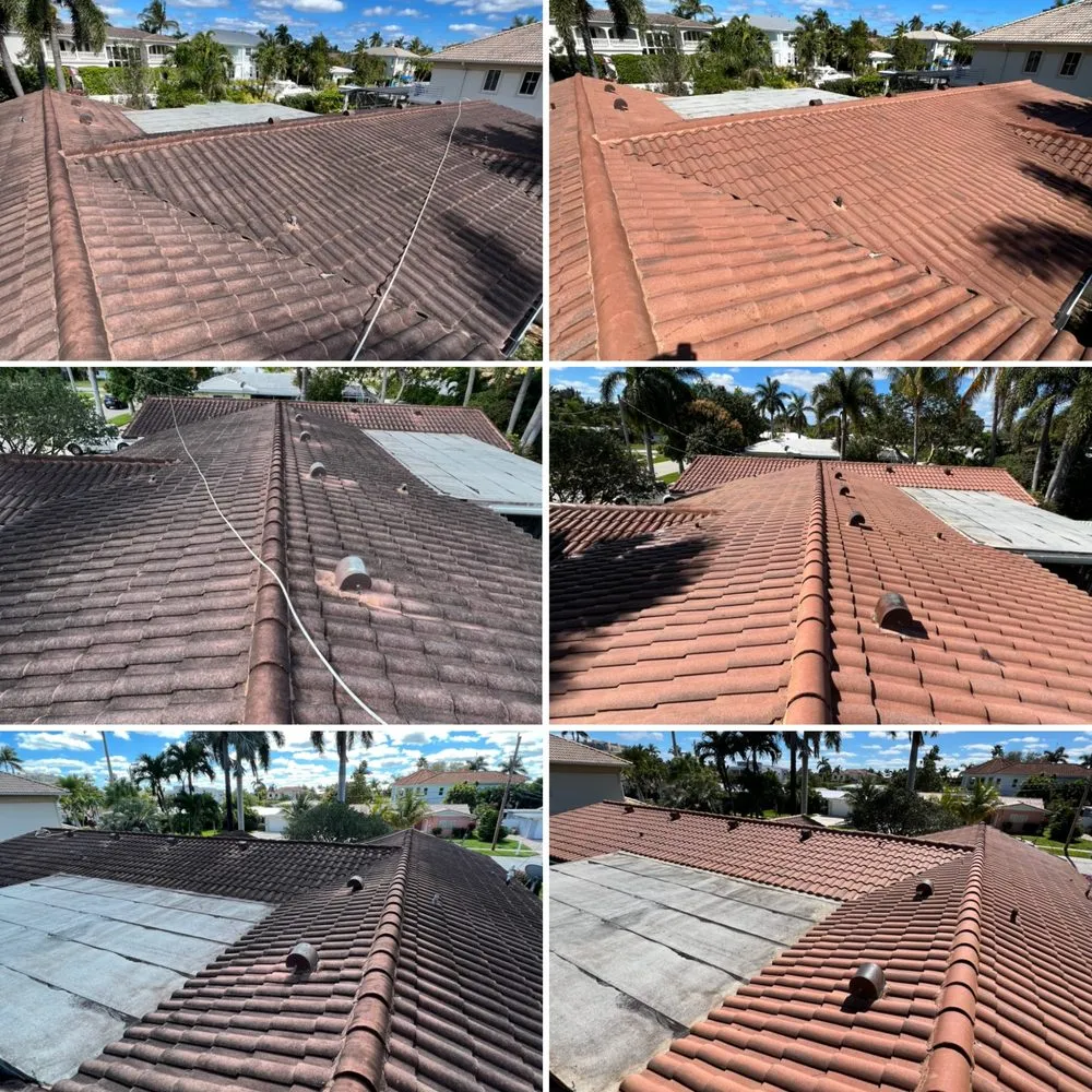 Slide of Kelly Restorations