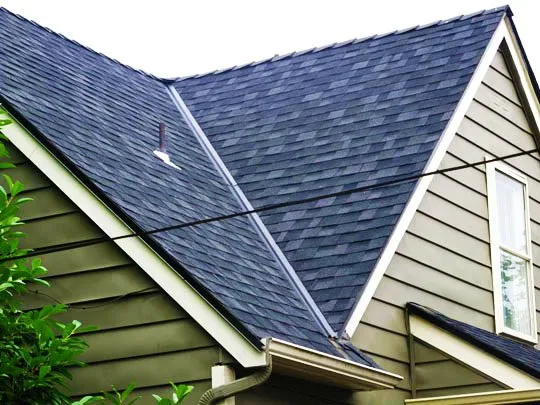 Slide of Kelly's Roof Repair