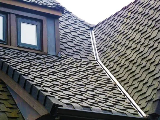 Slide of Kelly's Roof Repair