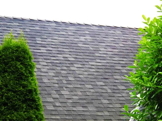 Slide of Kelly's Roof Repair