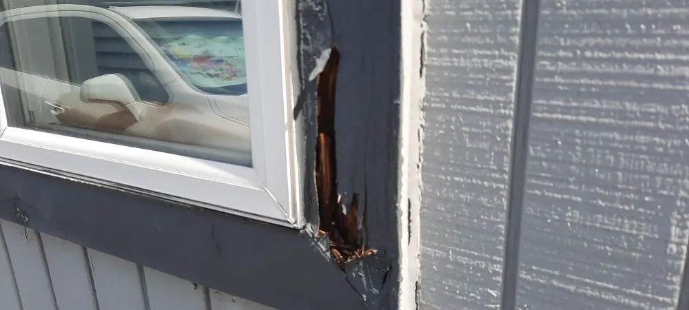 Top-rated roof leak repair for fast service in Roy, WA by Kennie Stroderd Construction